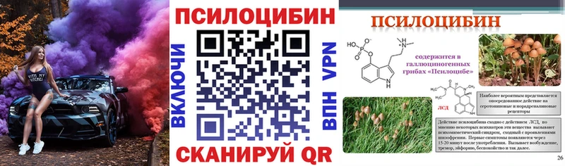 Галлюциногенные грибы мицелий  Купить где  Колпашево 